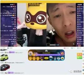 小冬徒弟爆料视频大全集,揭秘幕后真相与精彩瞬间  第3张